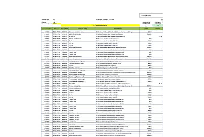 do expert financial data entry and fast excel data cleanup
